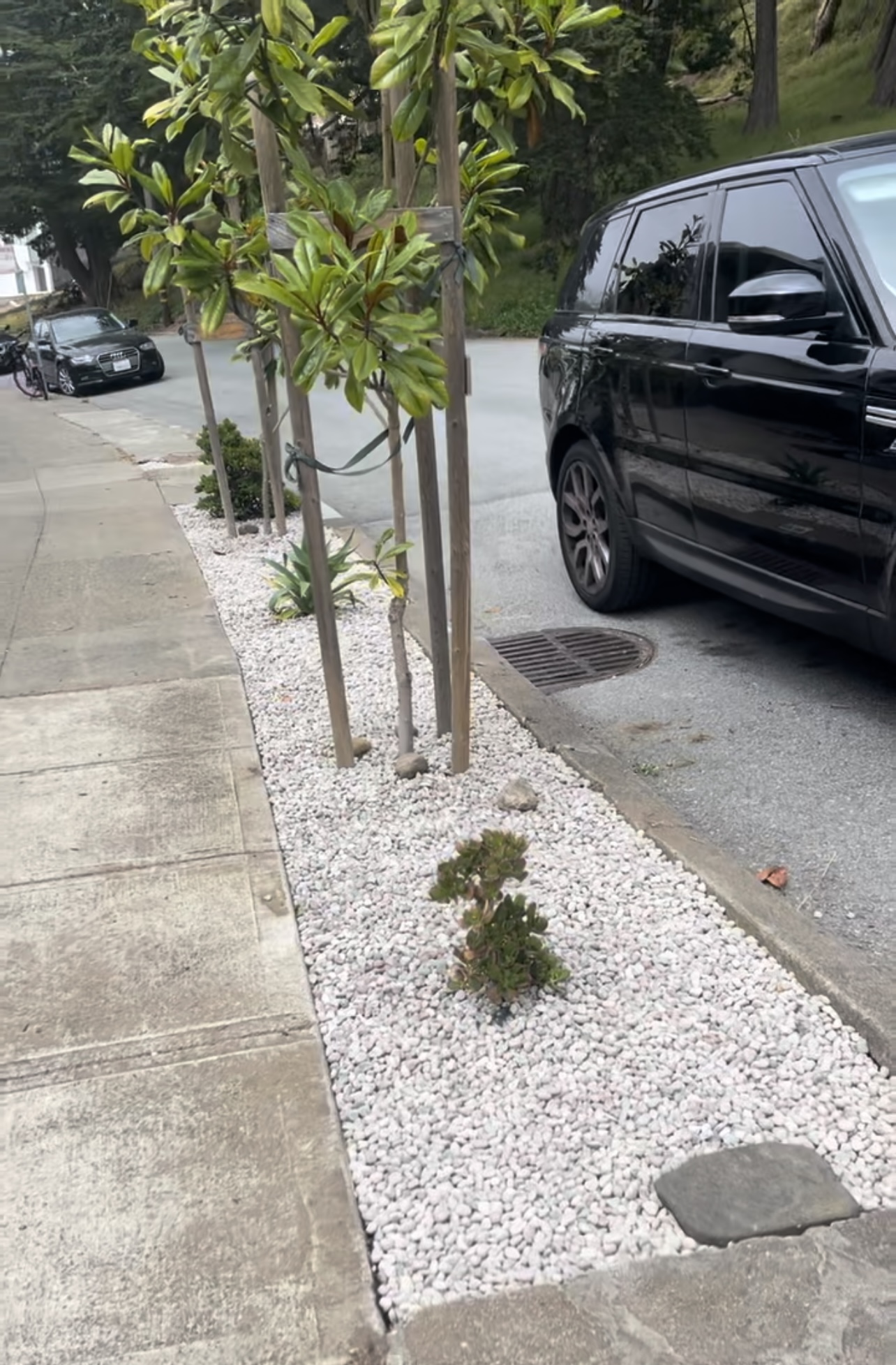 Landscaping the sidewalk