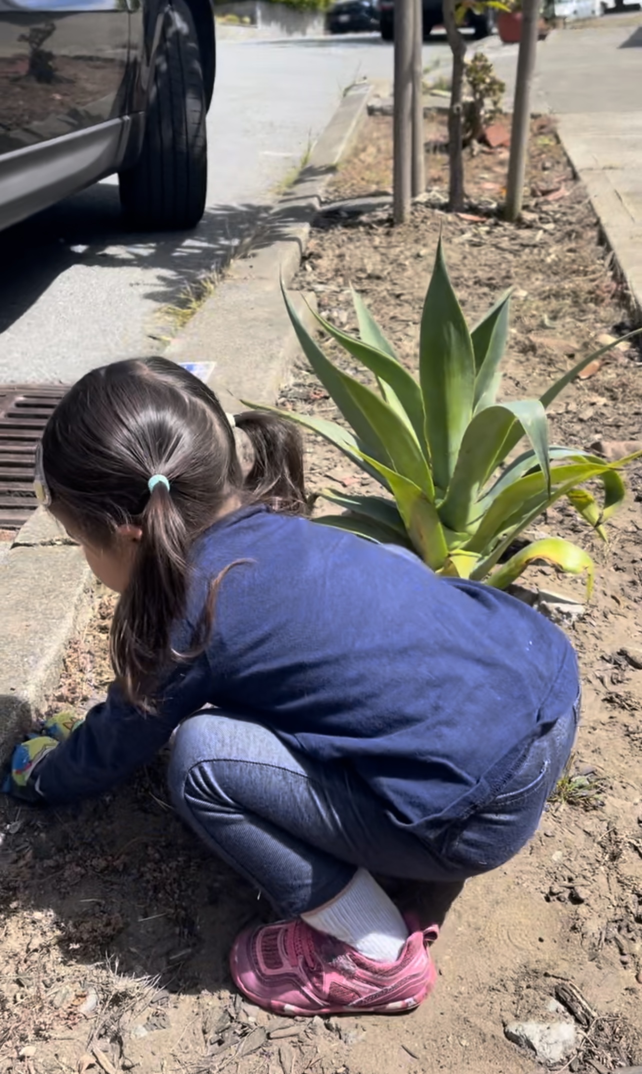 pulling weeds for landscaping sidewalk