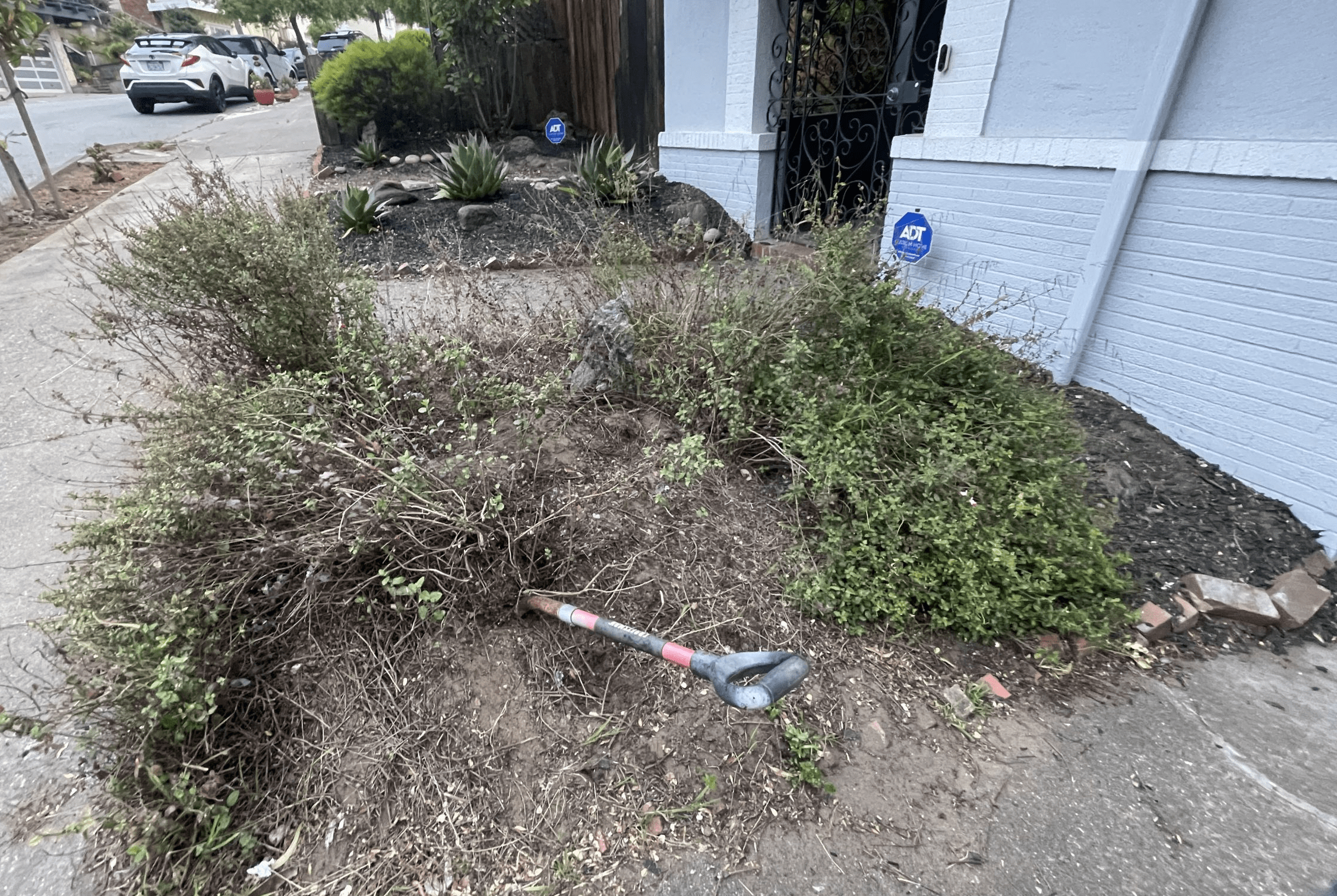 Landscaping Step #2: Dig out all the roots of the dead plants. 
