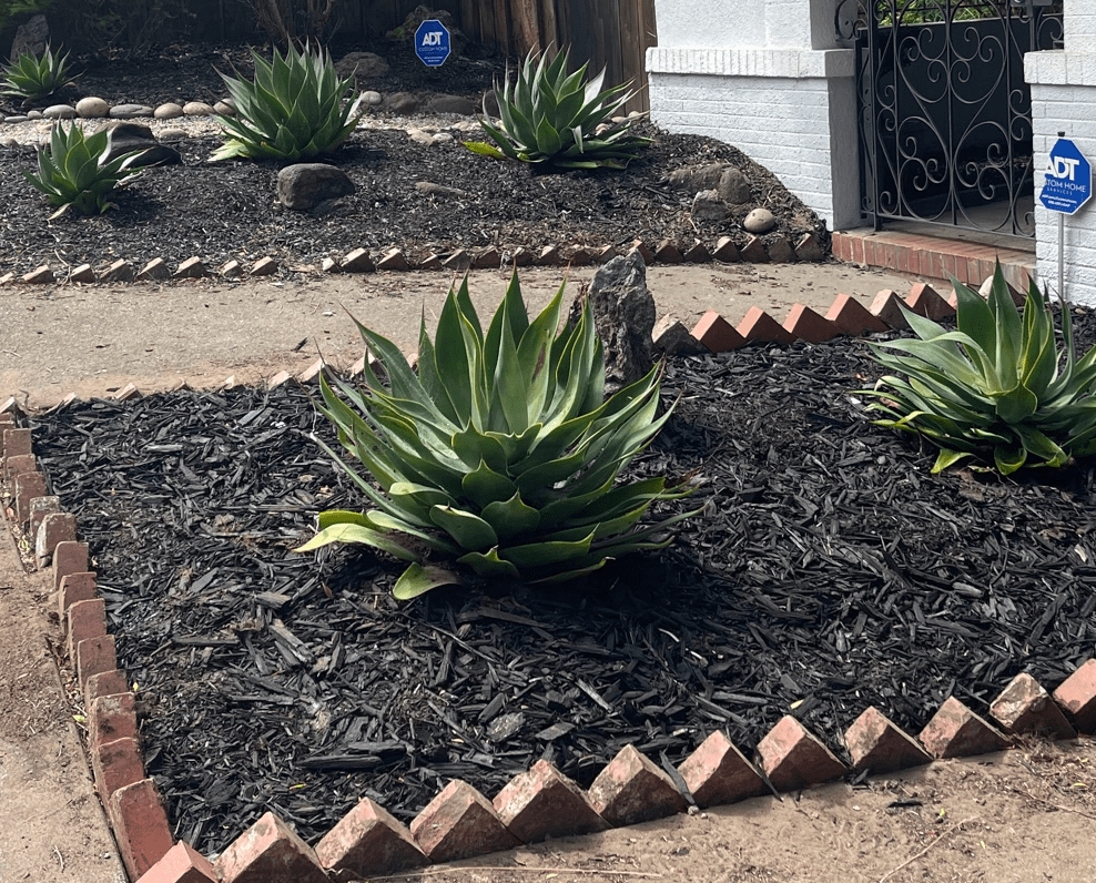 Landscaping Step #9: Make a better border.