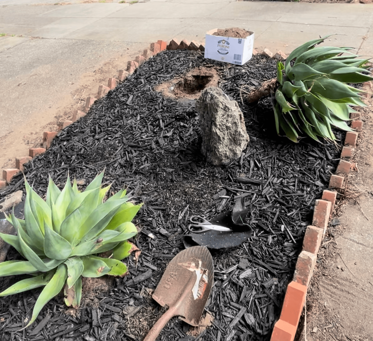 Landscaping Step #8: Plant the succulents. 