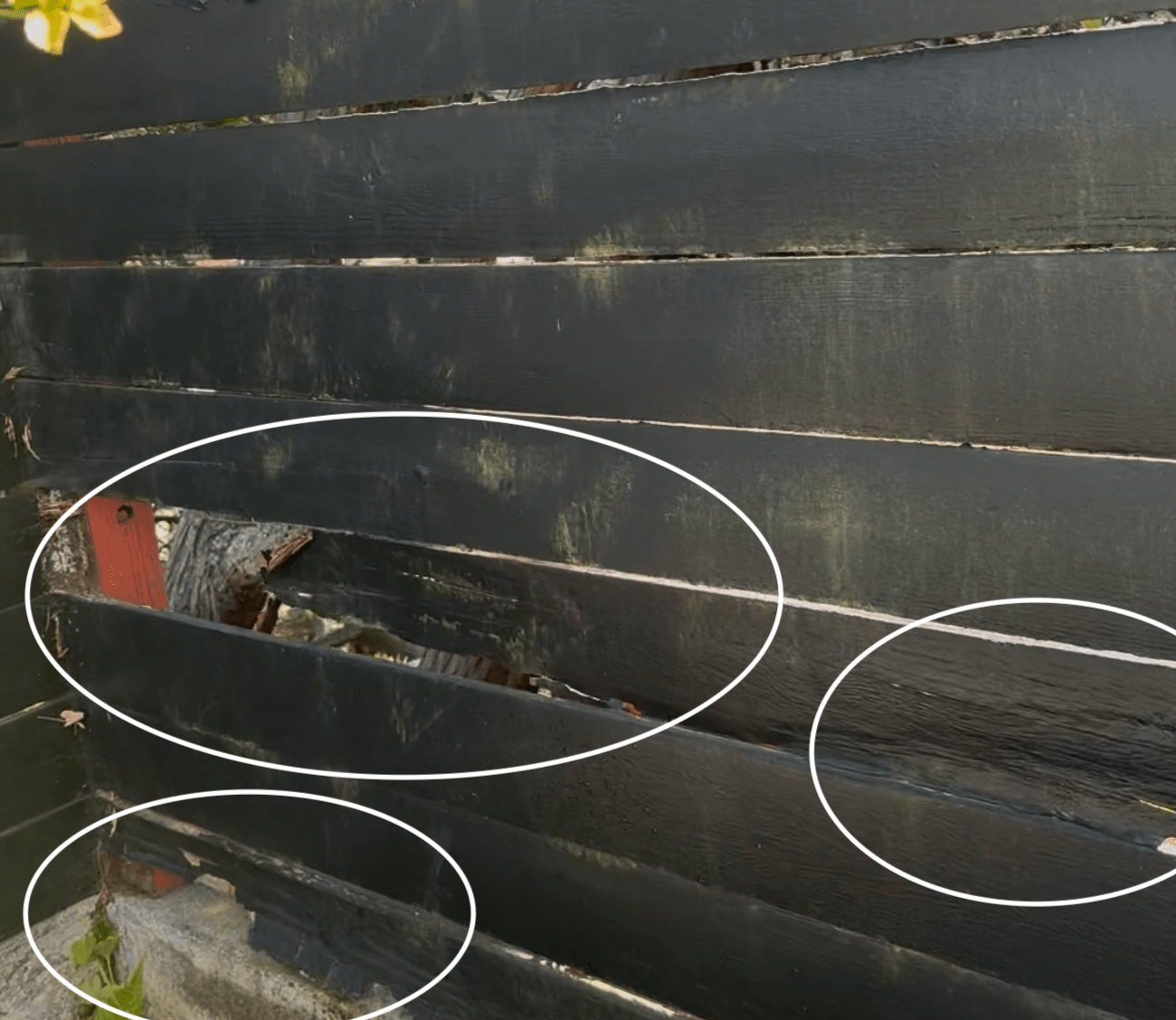The Rotten Fence Boards - A home inspection may have found them